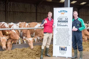 What Makes Guernsey Milk So Good?