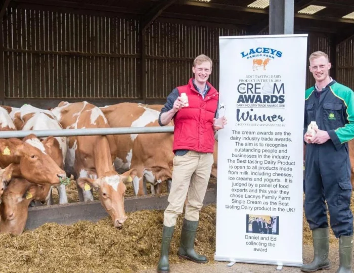 What Makes Guernsey Milk So Good?
