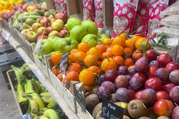 Fresh Fruit & Vegetables