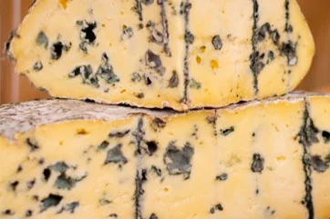 Cheese