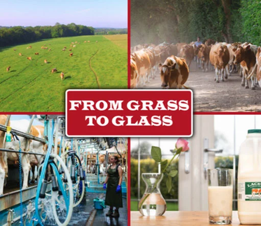 Grass to Glass