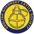English Guernsey cattle society